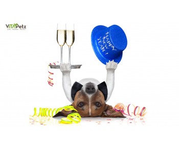 Tips til Beroligende nytårsmenu og cocktail til hunden - Godt Nytår!